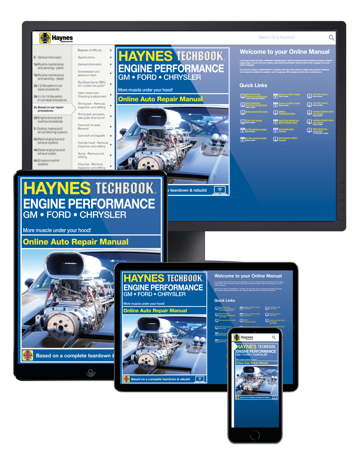 Engine Performance for GM, Ford & Chrysler Haynes Techbook (USA)