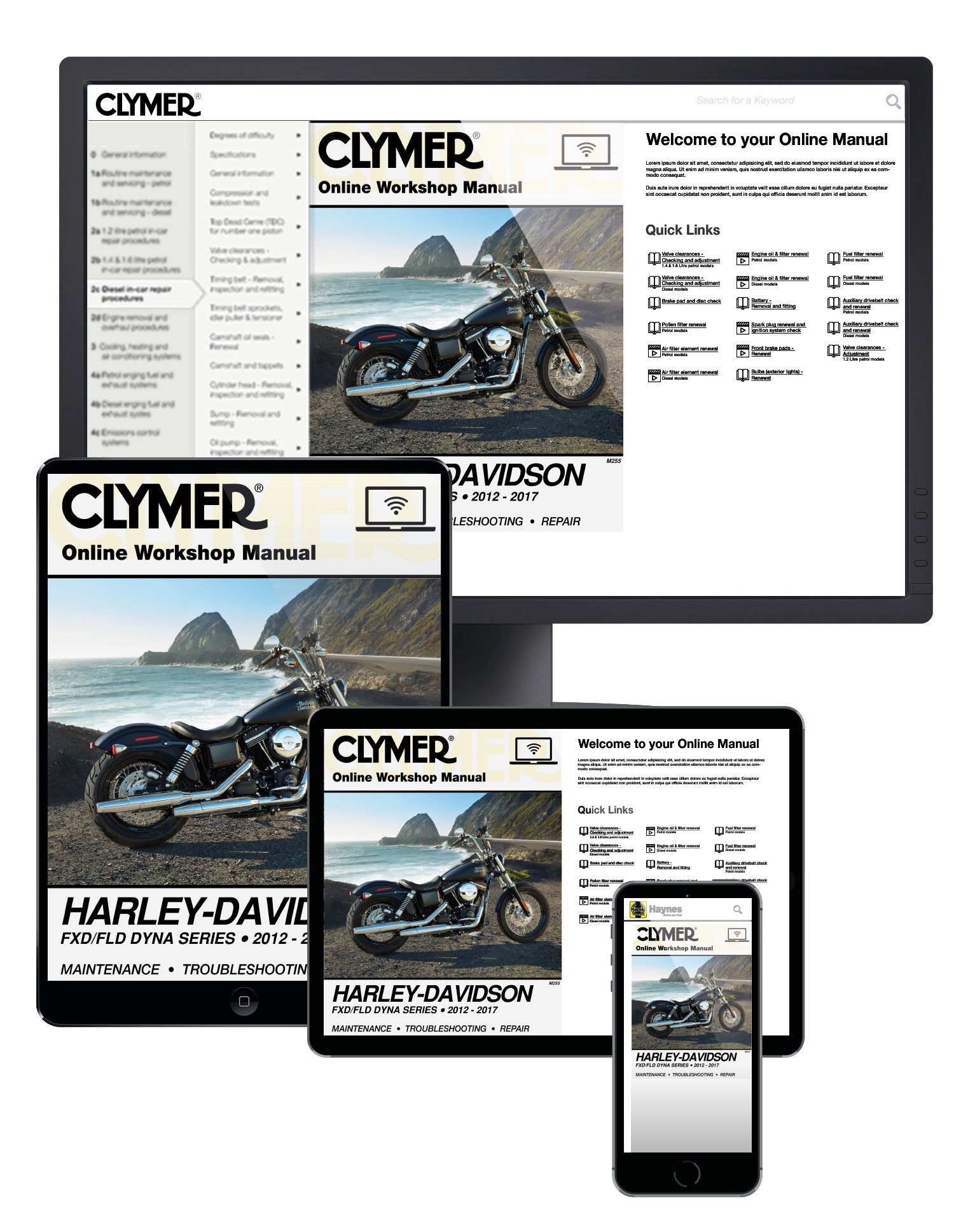Harley-Davidson FXD/FLD Dyna Series (2012-2017) Clymer Repair