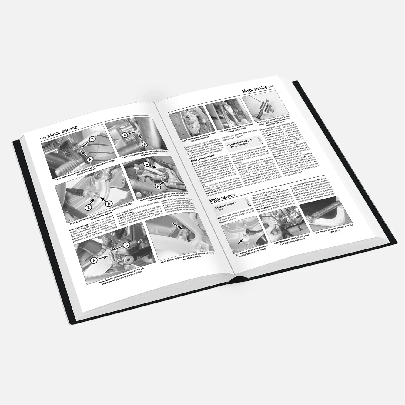 Open book with text and images on a white background