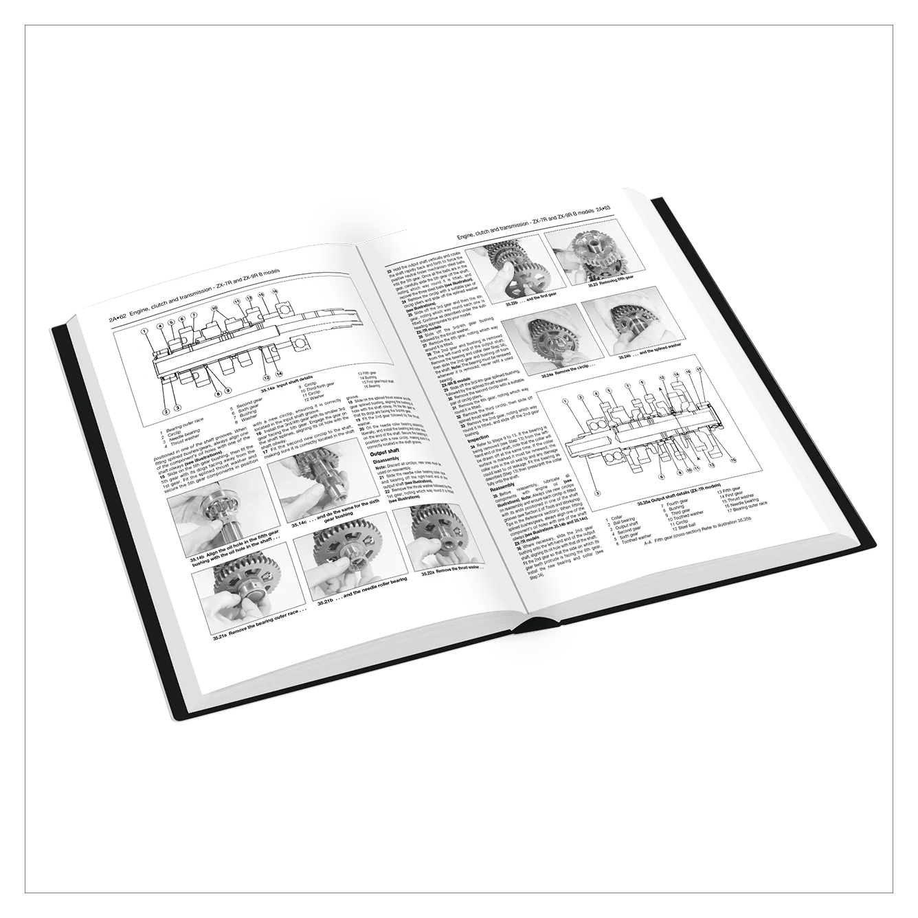 Open book with illustrations and text on a white background