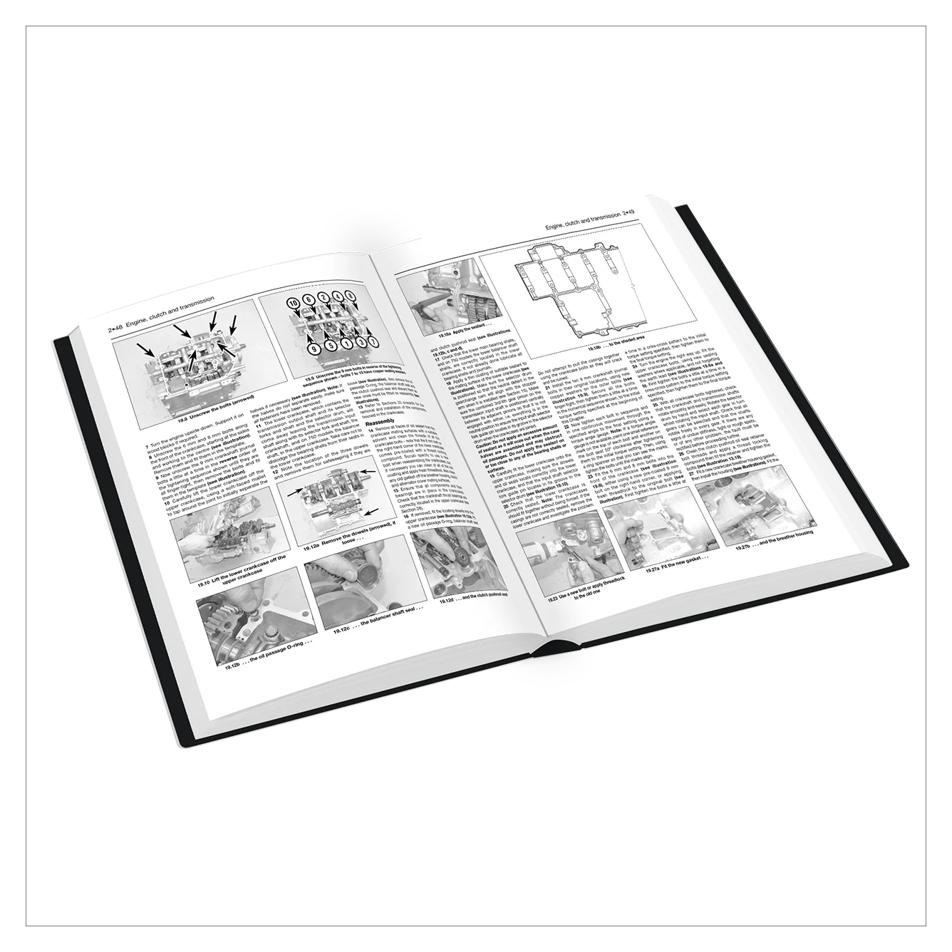 Open book with black and white illustrations and text on a white background