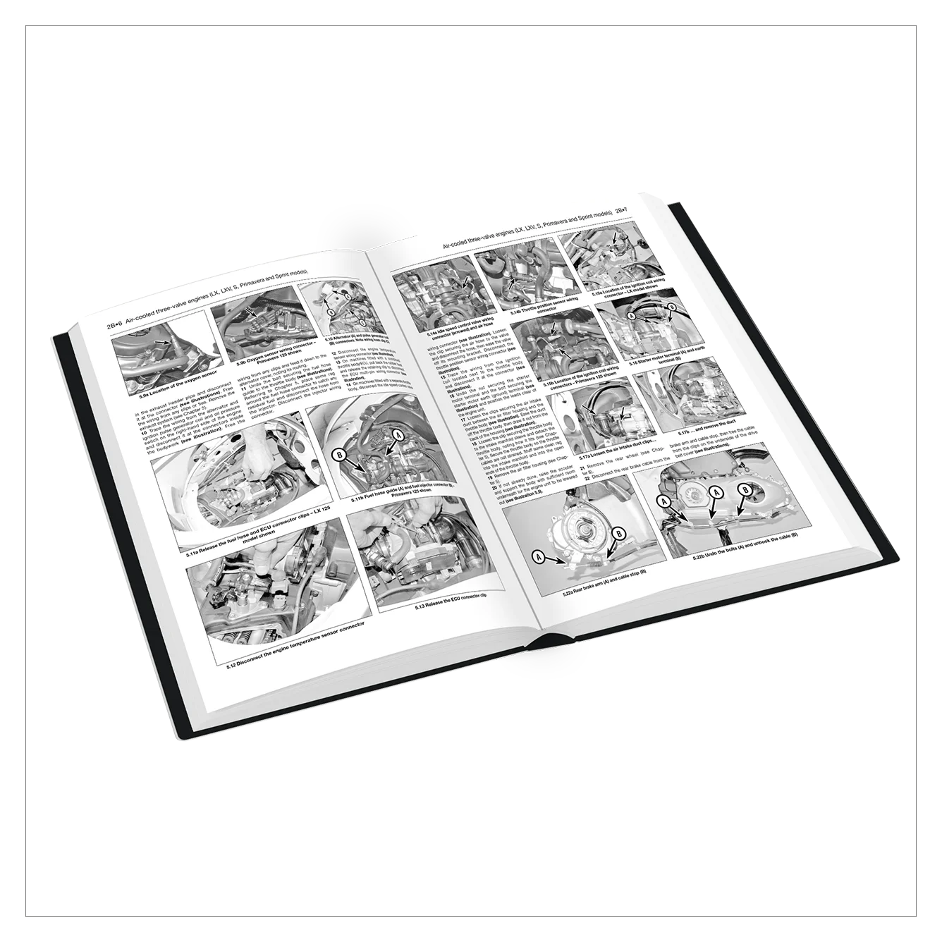 Open book with black and white illustrations on a white background