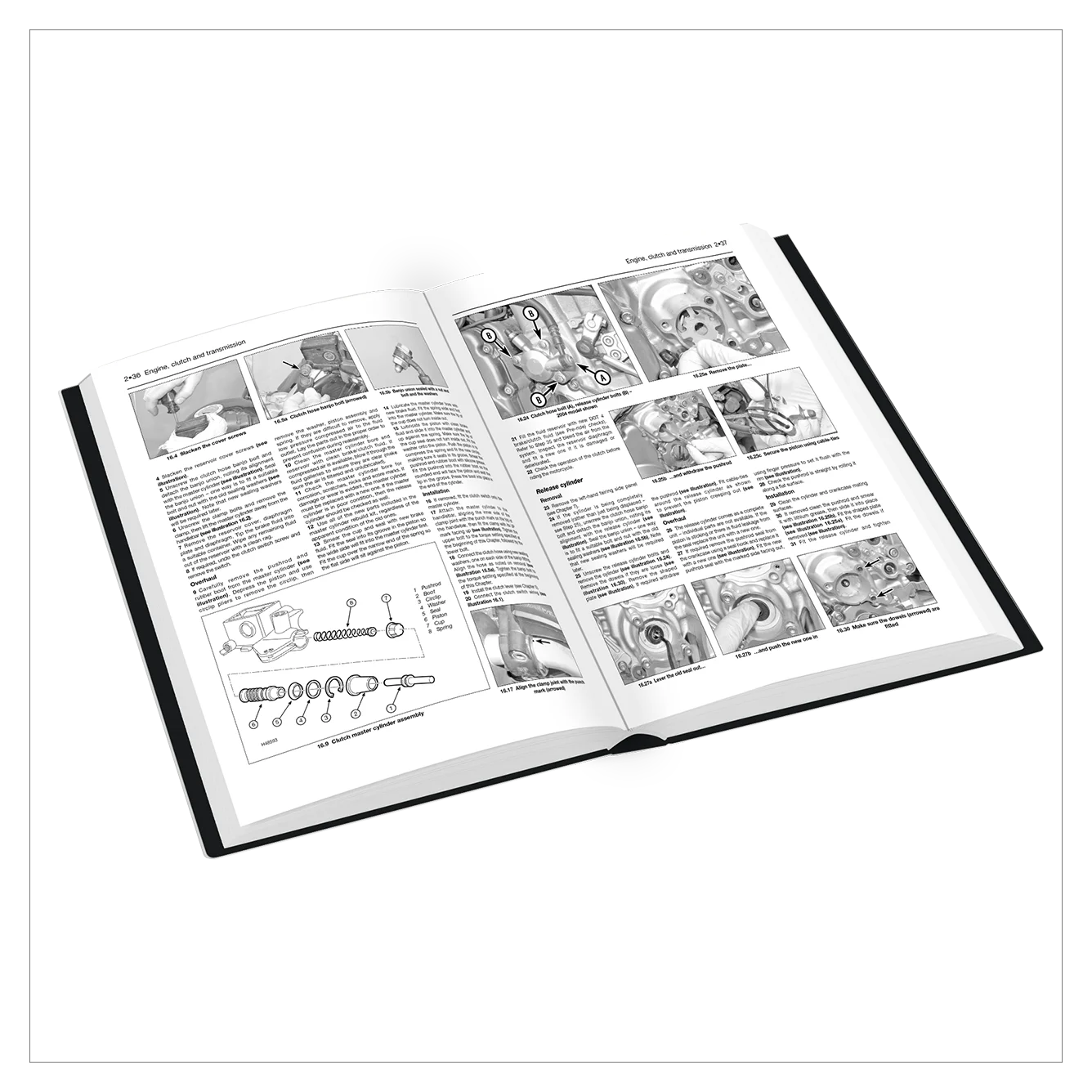 Open book with illustrations and text on a white background