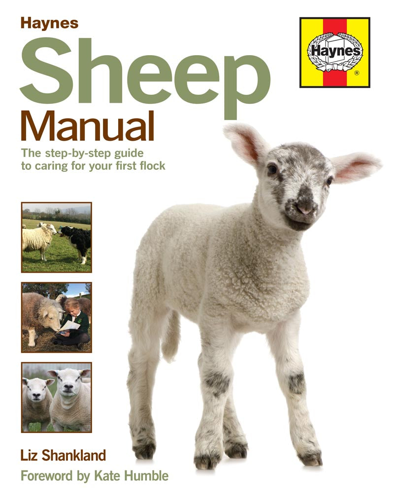 Sheep Manual