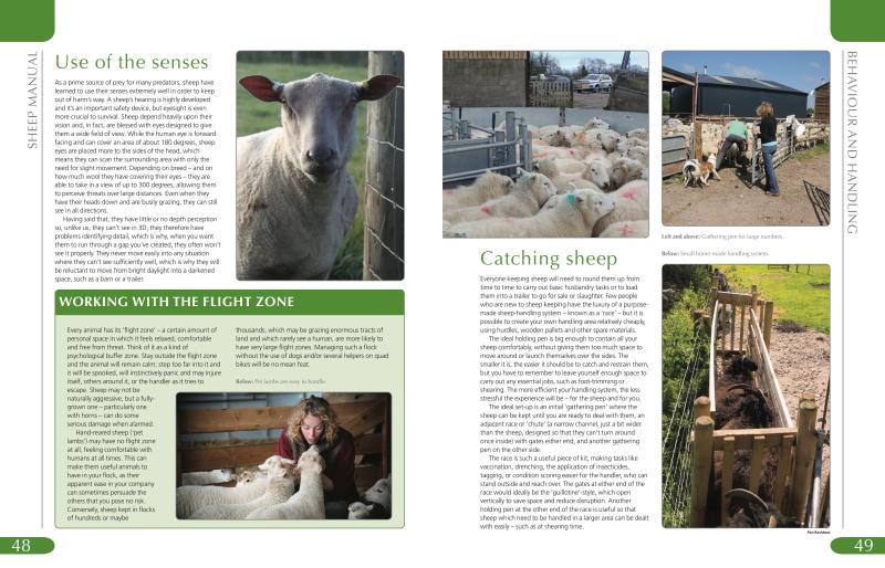 Sheep Manual