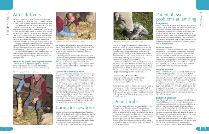 Sheep Manual