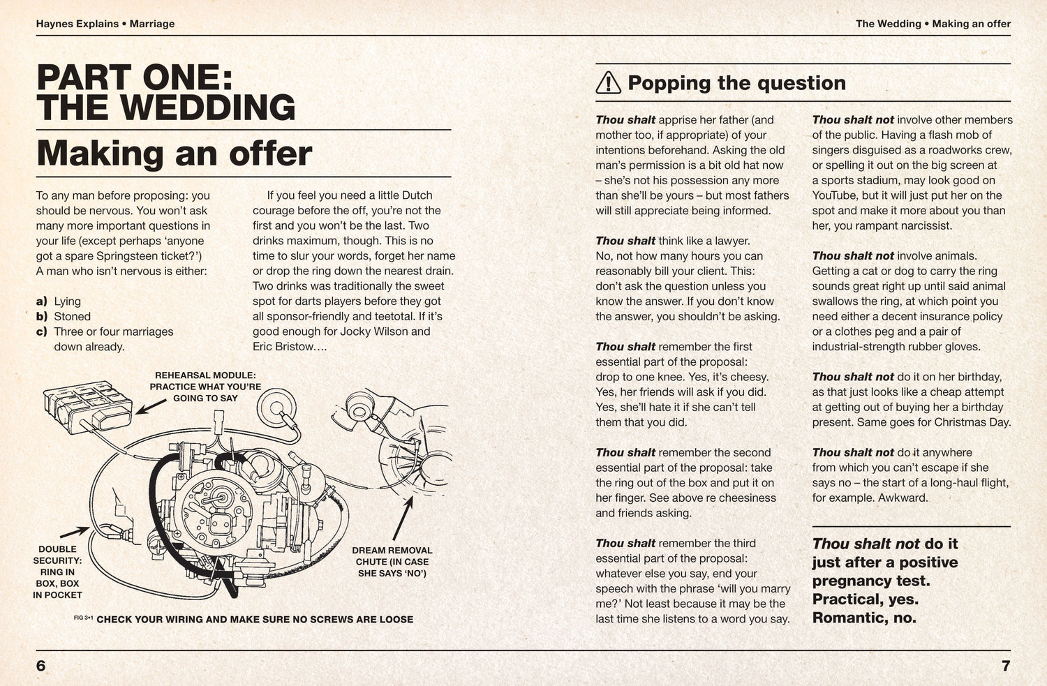 Haynes Explains Marriage